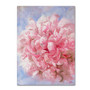 Trademark Fine Art Li Bo 'Pink Peonie I' 18 x 24 (ALI0756-C1824GG)