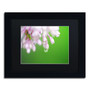Trademark Fine Art Monica Mize 'Pure' 11 x 14 (MF166-B1114BMF)