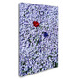 Trademark Kurt Shaffer "One Red Tulip" Gallery-Wrapped Canvas Art, 30" x 47" (65dcf60be8837636b11a2078_ud)