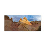 Trademark Fine Art ''Cottonwood II'' by Moises Levy 10" x 24" Canvas Art (ALI1131-C1024GG)