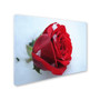 Trademark Monica Fleet "Never Forgotten" Gallery-Wrapped Canvas Art, 18" x 24" (65dcf618e8837636b11a20b6_ud)
