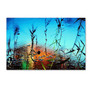 Trademark Fine Art 12" x 19" Wooden Frame Painted by Nature (65dcf664e8837636b11a21fa_ud)