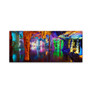 Trademark Fine Art John Xiong 'Colored Cave' 8 x 19 (ALI0653-C819GG)