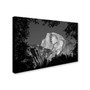 Trademark Pierre Leclerc "Yosemite BW" Gallery-Wrapped Canvas Art, 12" x 19" (65dcf66fe8837636b11a2233_ud)