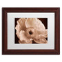 Trademark Fine Art Cora Niele 'Sepia Poppy I' 11" x 14" Matted Framed Art Print (190836309481)