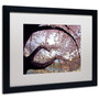Trademark CATeyes "Cherry Blossoms 2014-1" Art, White Matte W/Black Frame, 16" x 20" (65dcf670e8837636b11a2247_ud)