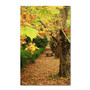 Trademark Fine Art 47" x 30" Wooden Frame Autumn Conversations (65dcf67ce8837636b11a227f_ud)