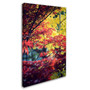 Trademark Philippe Sainte-Laudy "Red vs Yellow" Gallery-Wrapped Canvas Art, 30" x 47" (65dcf694e8837636b11a22e0_ud)