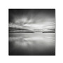 Trademark Fine Art Dave MacVicar 'Double Vision' 24 x 24 (ALI0828-C2424GG)