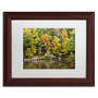 Trademark Fine Art Kurt Shaffer 'Early Fall' 11 x 14 Framed Art Print (KS01031-W1114MF)
