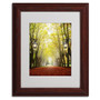 Trademark Philippe Sainte-Laudy "Plane Tree Alley" Art, White Matte With Wood Frame, 11" x 14" (65dcf6d1e8837636b11a23aa_ud)