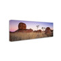 Trademark David Evans "Devils Marbles & Ghost Gums" Gallery-Wrapped Canvas Art, 6" x 19" (65dcf6d1e8837636b11a23ae_ud)