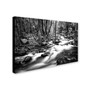 Trademark David Ayash "Yosemite National Park - California-I" Gallery-Wrapped Canvas Art, 16" x 24" (65dcf6d1e8837636b11a23b1_ud)