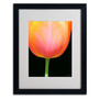 Trademark Kathie McCurdy "Orange Tulip" Art, White Matte With Black Frame, 16" x 20" (65dcf70de8837636b11a24da_ud)