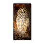Trademark Fine Art Lois Bryan 'Wisdom' 12 x 24 (LBR0298-C1224GG)