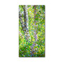 Trademark Fine Art Mandy Budan 'Hide And Seek' 16 x 32 (ALI0921-C1632GG)