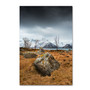 Trademark Fine Art Philippe Sainte-Laudy 'The Initial' 12" x 19" Canvas Stretched Art Print (190836237647)