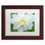 Trademark Fine Art Cora Niele 'White Dahlia' 11" x 14" Matted Framed (190836251308)