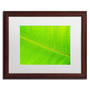 Trademark Fine Art Cora Niele 'Leaf Texture II' 16" x 20" Matted Framed (190836314393)
