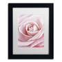 Trademark Fine Art Cora Niele 'Pink Rose' 11" x 14" Matted Framed (190836308385)