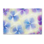 Trademark Fine Art Cora Niele 'Blue and White Hydrangea Flowers' 12" x 19" Canvas Art Print (190836256389)