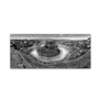 Trademark Fine Art ''Horseshoe Bend BW'' by Moises Levy 20" x 47" Canvas Art (ALI1134-C2047GG)