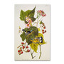 Trademark Fine Art 12" x 19" Hidden Wooden Frame Black and Yellow Warbler (65dcf7d9e8837636b11a2858_ud)