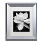 Trademark Fine Art ''Magnolia'' by Michael Harrison 11" x 14" White Matted Silver Frame (ALI0290-S1114MF)