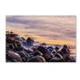 Trademark Fine Art Chris Moyer 'Wet Rock Reflections' 22 x 32 (ALI0767-C2232GG)