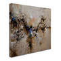 Trademark CH Studios "Sands of Time II" Gallery-Wrapped Canvas Art, 18" x 18" (65dcf7f7e8837636b11a28da_ud)