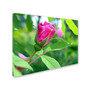 Trademark Monica Fleet "Unfolding Transformation" Gallery-Wrapped Canvas Art, 35" x 47" (65dcf803e8837636b11a28fb_ud)
