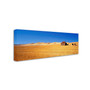 Trademark David Evans "Burra Homestead-SA" Gallery-Wrapped Canvas Art, 6" x 19" (65dcf804e8837636b11a28fe_ud)