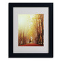 Trademark Philippe Sainte-Laudy "Fountains of Light" Art, White Matte With Black Frame, 11" x 14" (65dcf804e8837636b11a290c_ud)