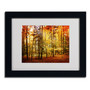 Trademark Philippe Sainte-Laudy "Fall Color" Art, White Matte With Black Frame, 11" x 14" (65dcf81de8837636b11a2980_ud)
