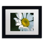 Trademark Fine Art Monica Mize 'Hidden in Shadows' 11 x 14 (MF148-B1114MF)