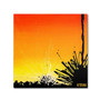 Trademark Fine Art 35" x 35" Wooden Frame Ocotillo Sunburst (65dcf849e8837636b11a2a48_ud)