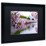 Trademark CATeyes "Cherry Blossoms 2014-2" Art, Black Matte W/Black Frame, 16" x 20" (65dcf855e8837636b11a2a6e_ud)