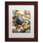 Trademark Fine Art Stephen Stavast 'A Bolder View' 11 x 14 (ALI0740-W1114MF)