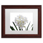 Trademark Fine Art ''Paper White Bouquet'' by Kurt Shaffer 11" x 14" White Matted Wood Frame (KS01076-W1114MF)