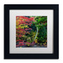 Trademark Fine Art Kurt Shaffer 'All the Colors of October in Ohio' 11" x 11" Matted Framed (886511963719)