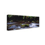 Trademark David Evans "Cascade-Otways Victoria" Gallery-Wrapped Canvas Art, 10" x 32" (65dcf8d2e8837636b11a2cc6_ud)