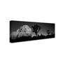 Trademark David Evans "First Light B&W-Joshua Tree NP" Gallery-Wrapped Canvas Art, 10" x 32" (65dcf924e8837636b11a2e46_ud)