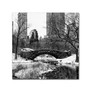 Trademark Fine Art Philippe Hugonnard 'Gapstow Bridge Central Park' 14" x 14" Canvas Stretched (190836120000)