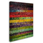Trademark Michelle Calkins "Brocade and Fifteen Stripes 3" Gallery-Wrapped Canvas Art, 24" x 32" (65dcf93de8837636b11a2ec6_ud)