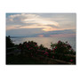 Trademark Fine Art Kurt Shaffer 'Roses in Bloom Along the Lake' 14" x 19" Canvas Stretched (190836004553)