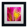 Trademark Fine Art Kurt Shaffer 'Princess Lily Abstact' 11" x 11" Matted Framed (886511962736)