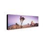 Trademark David Evans "Dusk-Joshua Tree NP" Gallery-Wrapped Canvas Art, 6" x 19" (65dcf97ae8837636b11a2fea_ud)