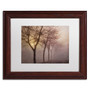 Trademark Fine Art Cora Niele 'Early Morning' 11" x 14" Matted Framed (190836252565)