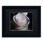 Trademark Fine Art Monica Mize 'Loyal Star' 11 x 14 (MF155-B1114BMF)