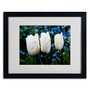 Trademark Kurt Shaffer "Three Parrot Tulips" Art, White Matte W/Black Frame, 16" x 20" (65dcf9abe8837636b11a30b9_ud)